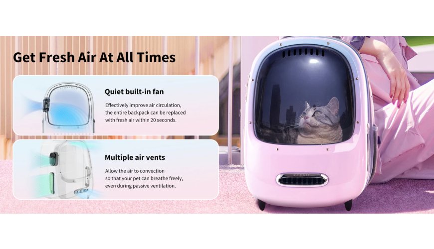 PETKIT Limited Paws & Claws Magnet Collection — Meet The Team